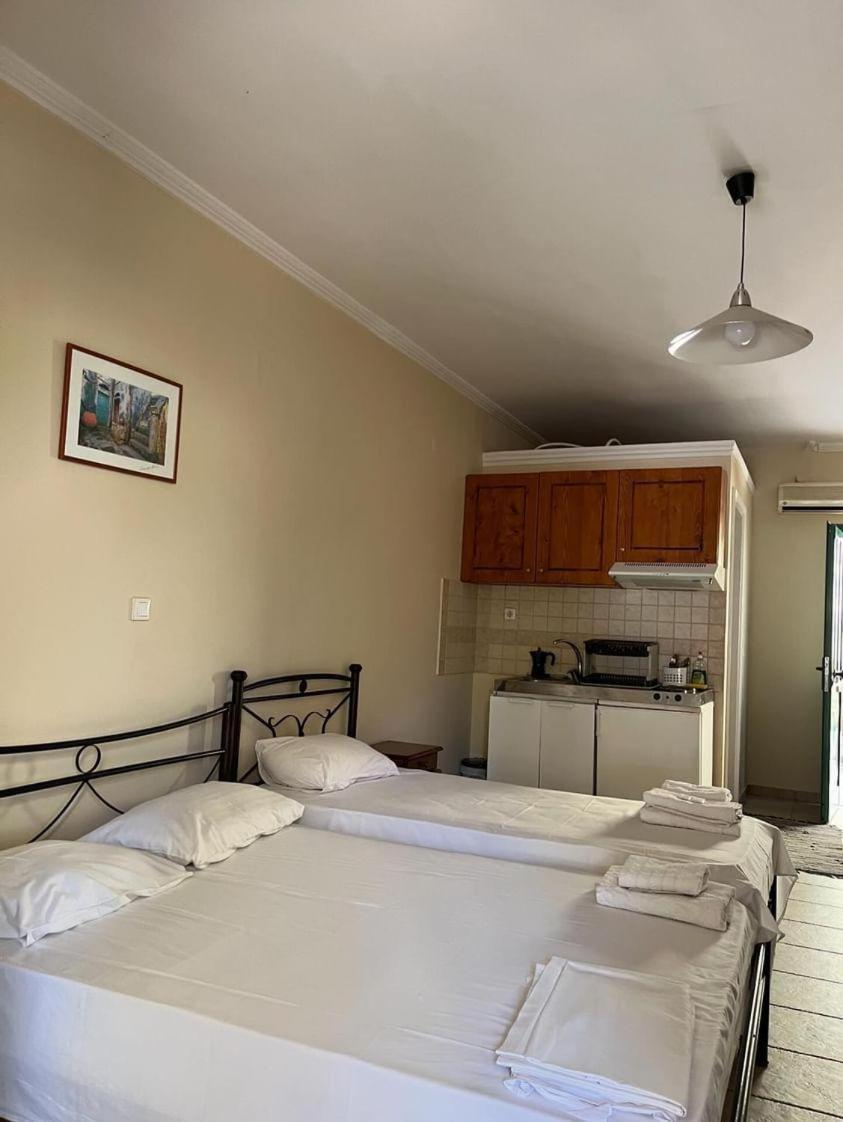 Lenia Studios Kalamitsi  Luaran gambar